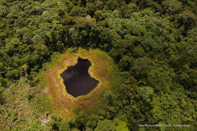 Serra del Divisor National Park, Peru 
