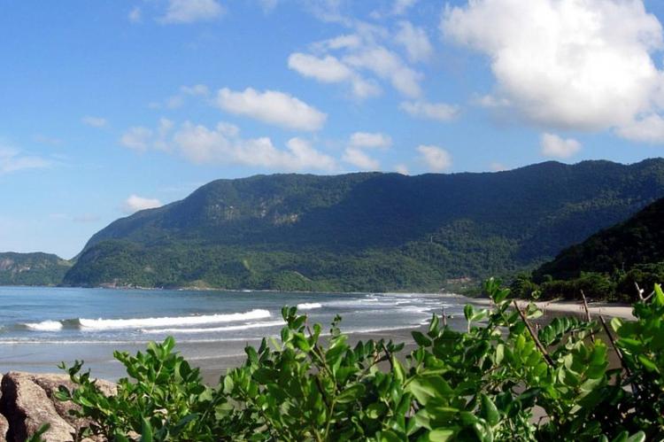 Serra do Mar with Atlantic rain forest, Guaecá, São Sebastião, Brazil 