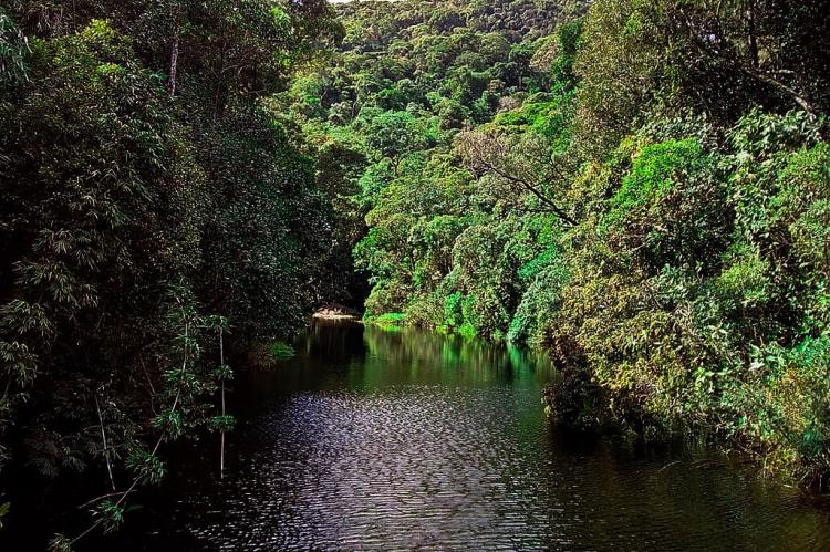 Serra dos Órgãos National Park, Brazil