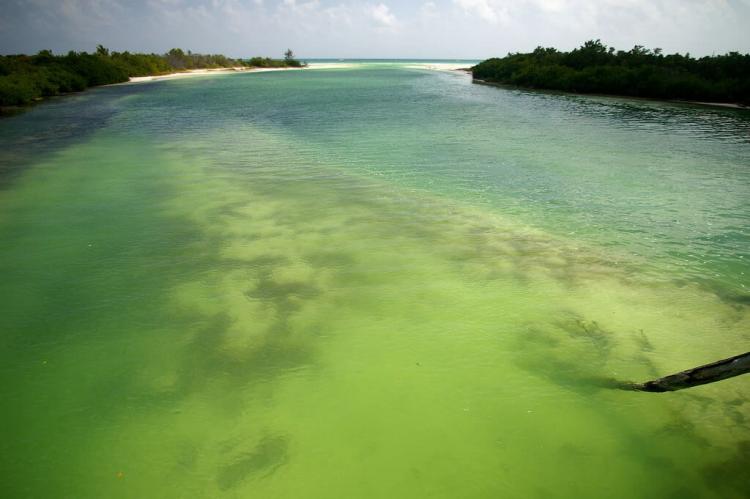 Biosphere Reserve of Sian Ka'an, Mexico