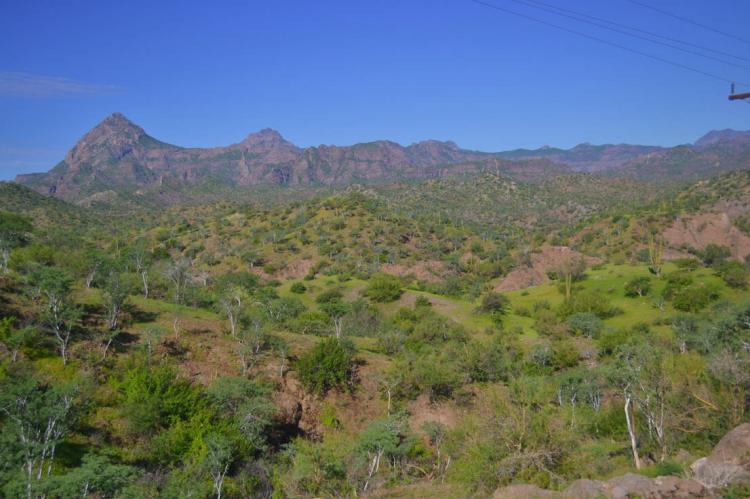Sierra de la Giganta, Baja California, Mexico
