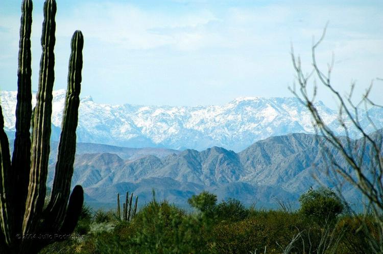 Panorama of the Sierra de San Pedro Mártir mountain range, Baja California, Mexico