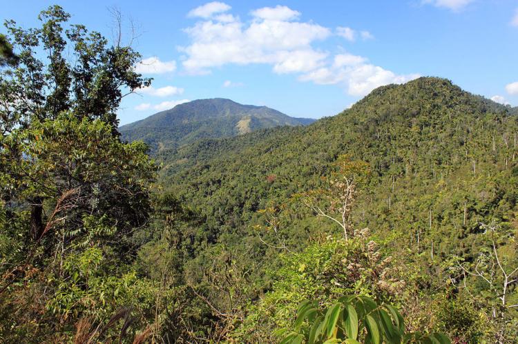 Sierra Maestra (Turquino National Park), Cuba