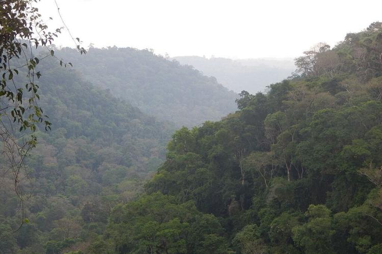 Terrain of the Sierras de Misiones, Misiones province, Argentina 