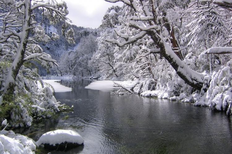 Snowfall in Huerquehue National Park (Chile)