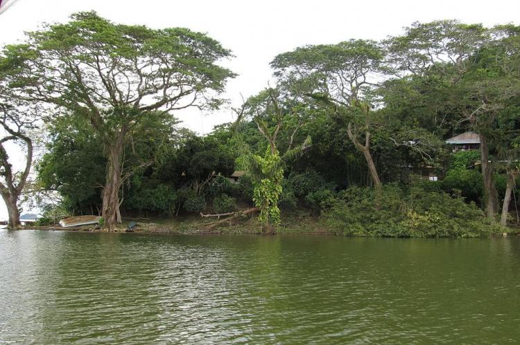 View one of the Solentiname islands, Nicaragua
