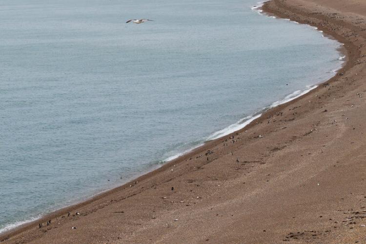 Southern Argentine Sea coastline - Monte León National Park, Patagonia, Argentina