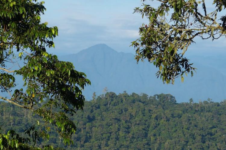 View of the Eastern Andes from Wild Sumaco Lodge, Ecuador