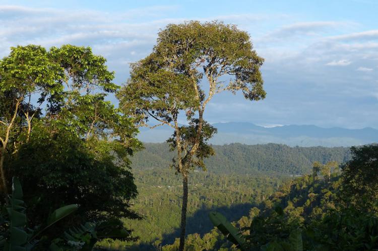 Sumaco Napo-Galeras National Park
