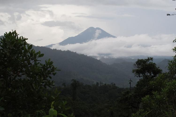 View of Sumaco Volcano, Ecuador