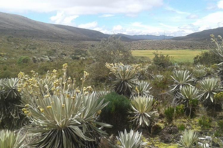 Panorama of Sumapaz Páramo, Colombia