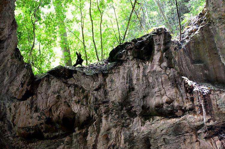 Taino cave, Los Haitises National Park, Dominican Republic