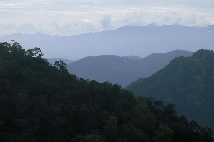 Talamanca Range-La Amistad Reserves La Amistad National Park (Costa Rica Panama) 