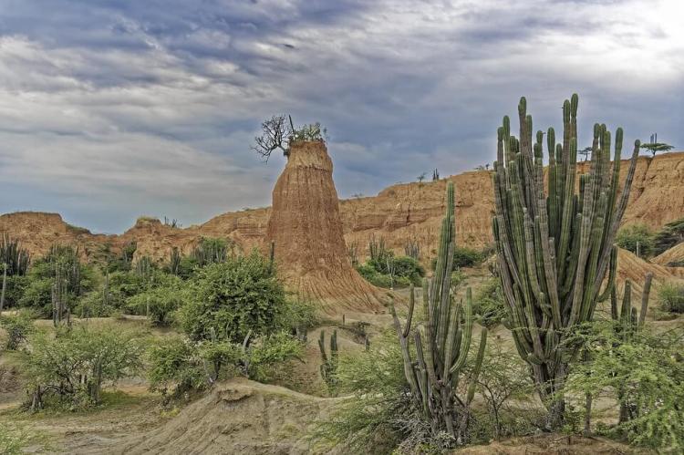 Scrub and rock formations in the Tatacoa Desert, Colombia