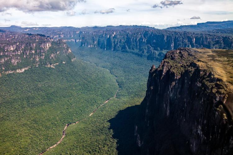 Pantepui forests and shrublands, Canaima, Venezuela