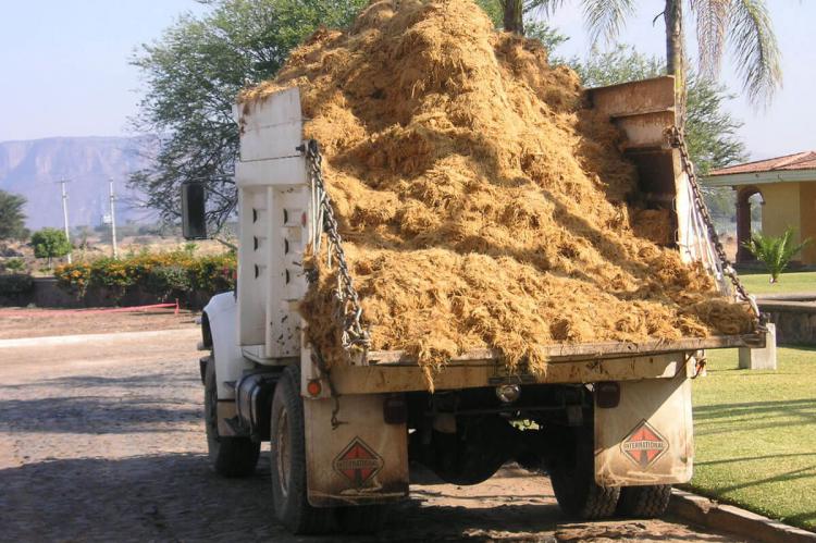 Tequila waste product, Jalisco, Mexico