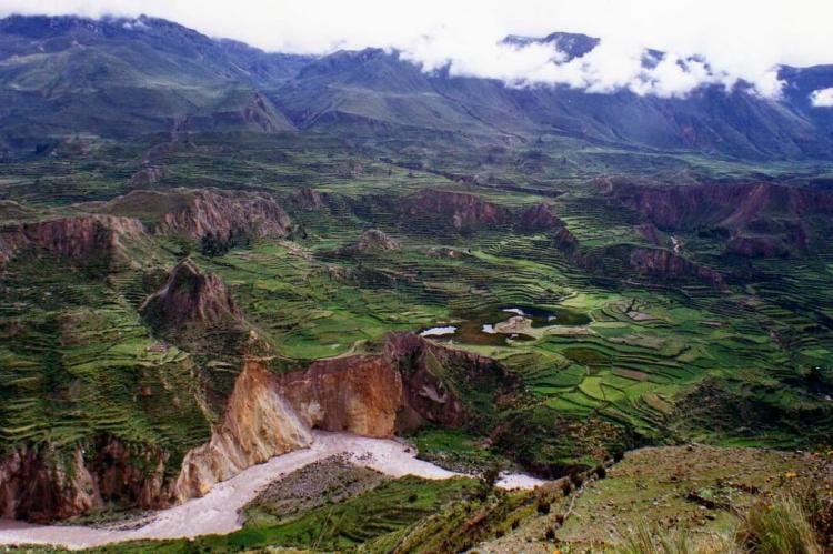 Terraces along Colca Canyon, Peru