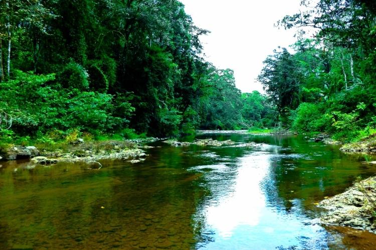 Indigenous territory, Mayagna Sauni Bas, in the Bosawas Biosphere Reserve, Nicaragua