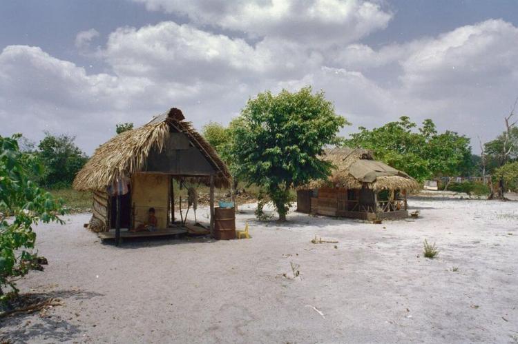 Thatched cottages near Jodensavanne, Suriname