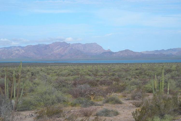 View of Tiburon Island across the Infiernillo Channel, Sonora, Mexico