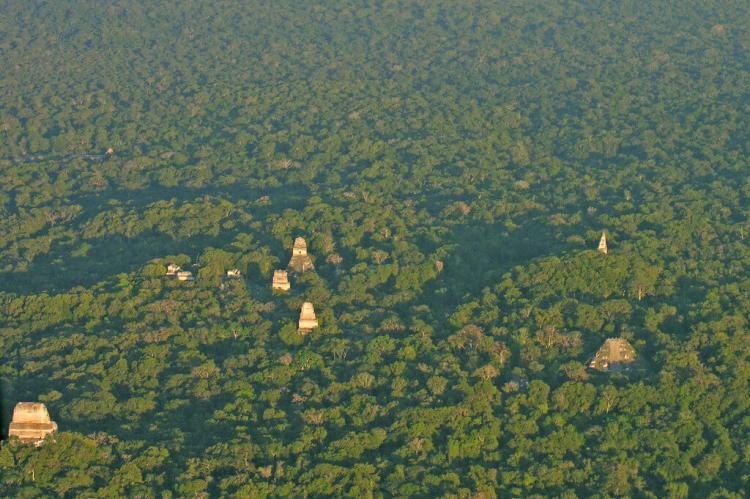 Aerial view of Tikal, Guatemala