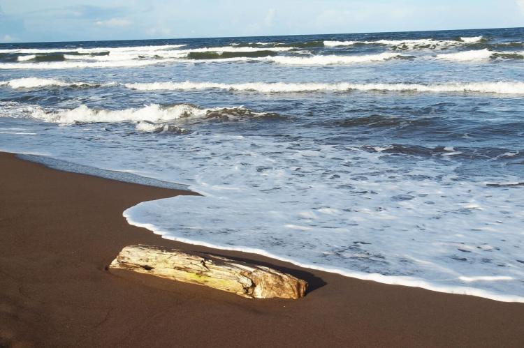 Coastline along the Tortuguero National Park, Costa Rica