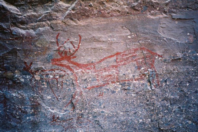 Trinidad deer rock painting, Sierra de San Francisco, Mexico