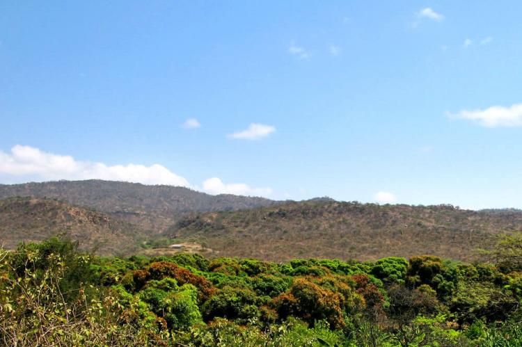 Tumbes Amotape, Peru