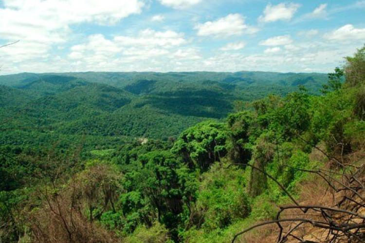 Tumbes Reserve, Peru