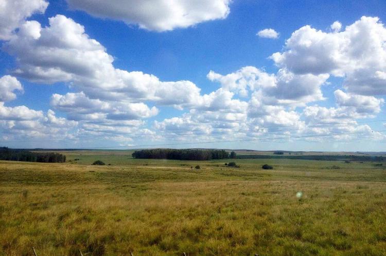 Landscape panorama, Uruguay