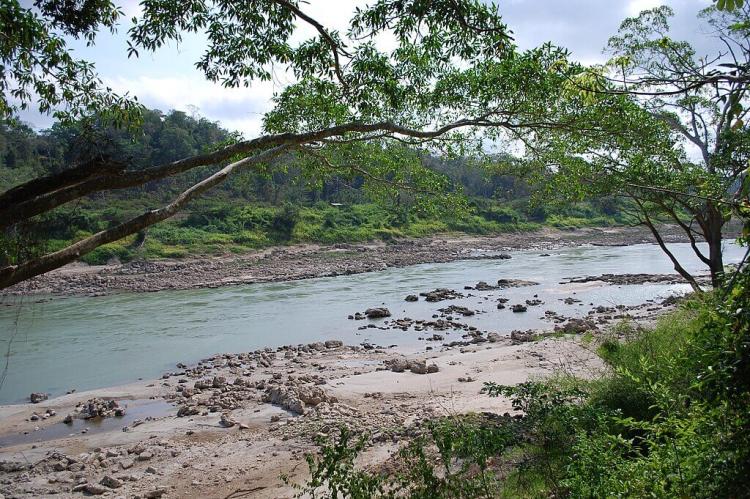 View of the Usumacinta River from Yaxchilan, Chiapas, Mexico on the border with Guatemala