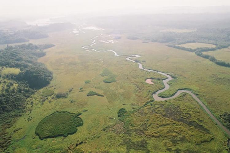 Floodplain of the Embu-Guaçu River, Brazil