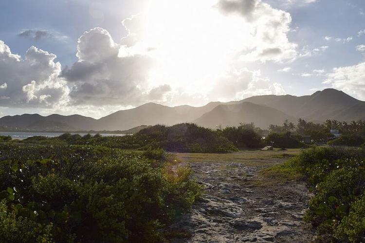 Vegetation in the Saint-Martin Nature Reserve