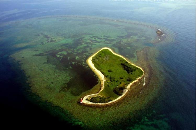 Veracruz reef system, Mexico