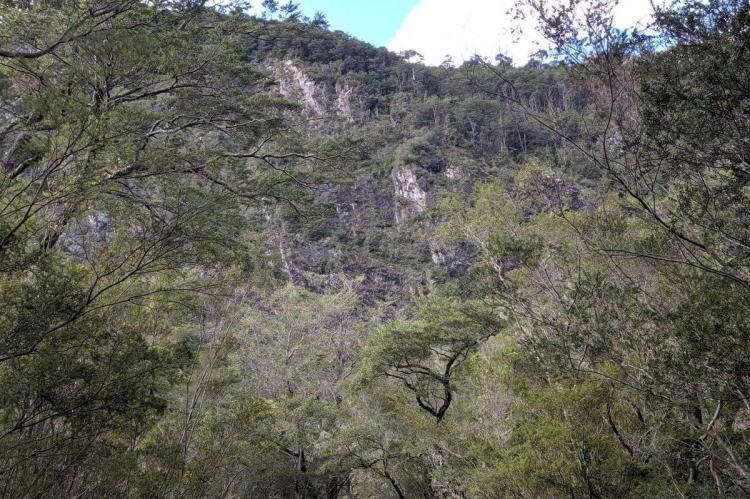 Topography at Vicente Perez Rosales National Park, Chile