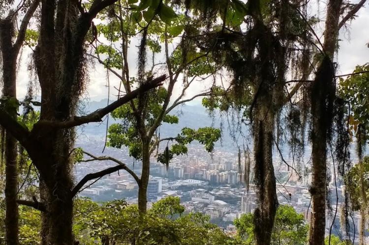 View from El Avila National Park, Venezuela