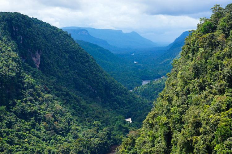 View from Kaieteur Falls, Guyana