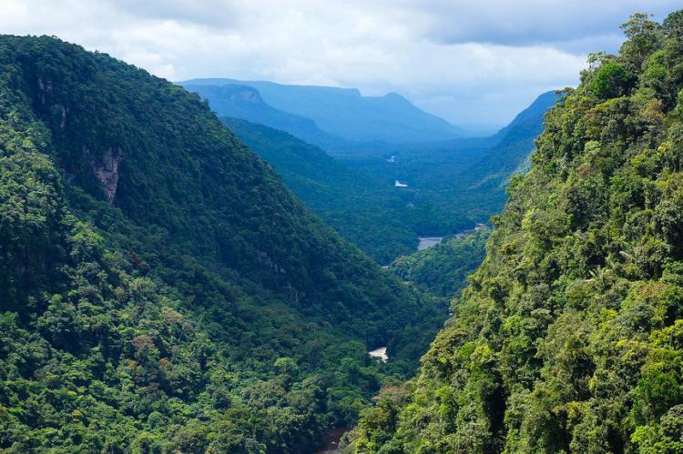 View from Kaieteur Falls, Guyana