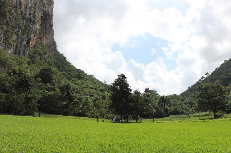 Viñales Valley landscape, Cuba