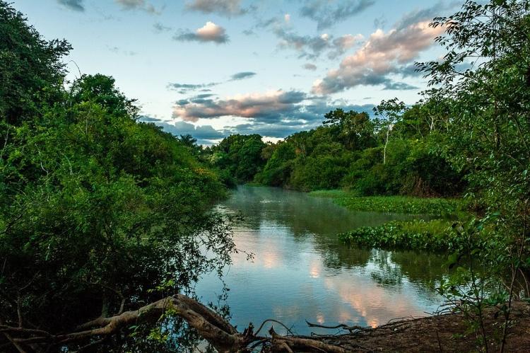 Panorama of Araguaia National Park, Bananal Island, Brazil