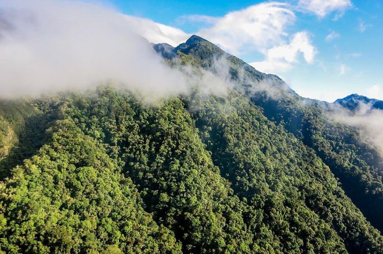 Closeup of Volcan Baru, Boquete, Panama