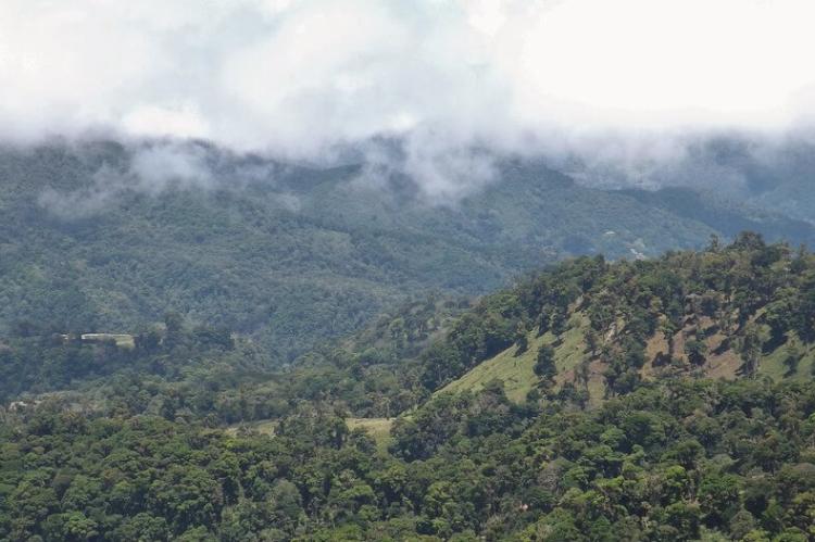 Volcán Barú National Park, Panama