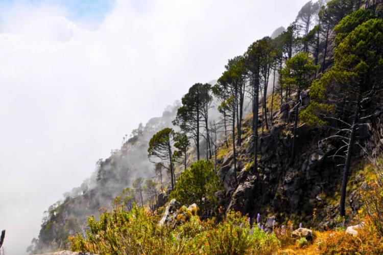Slopes of Volcán Tacaná, México