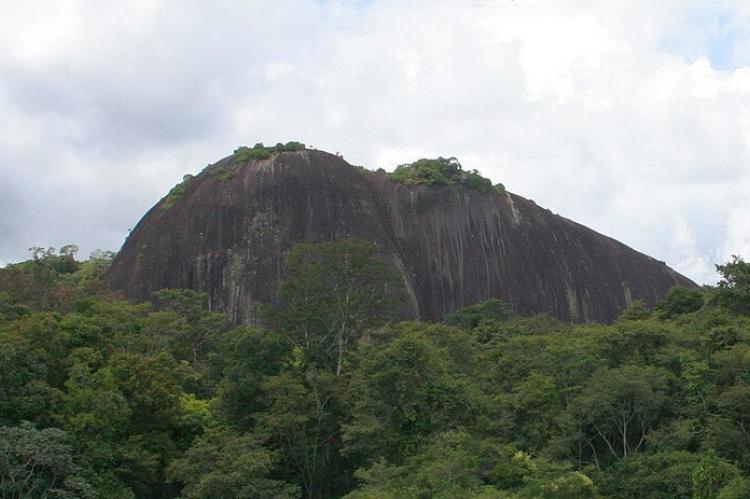 Top of Mt. Volzburg, Suriname
