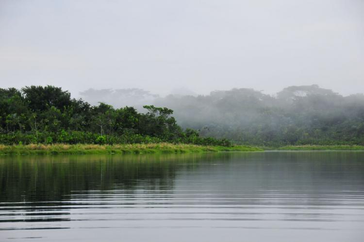 Yasuni National Park, Ecuador