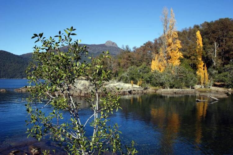 Yuco beach on Lacar Lake in Lanin National Park, Argentina