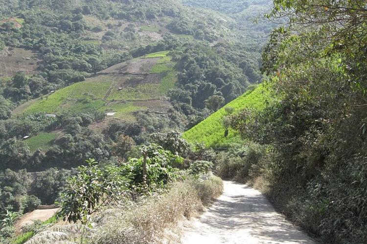 Slopes and coca fields near Chulumani, Bolivia