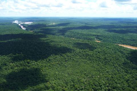Aerial view of Iguaçu National Park, Brazil