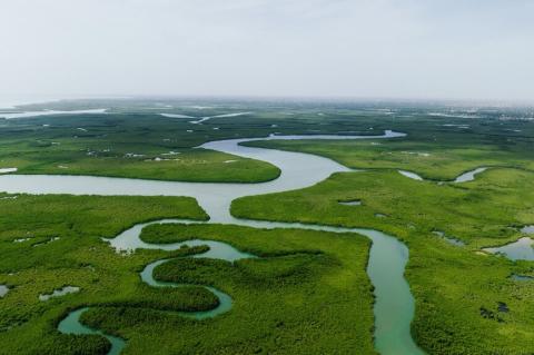 Panorama of the Amazon Basin