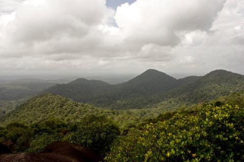 Nouragues Nature Reserve, French Guiana